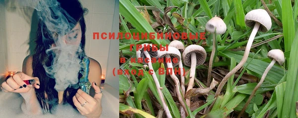 соль курить ск Инсар