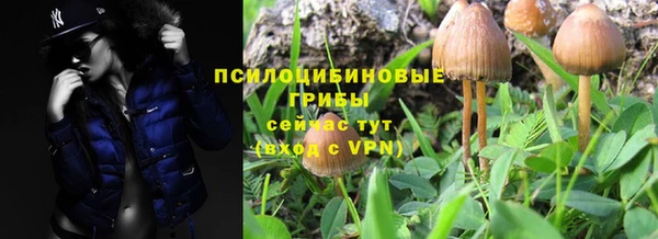 соль курить ск Иннополис
