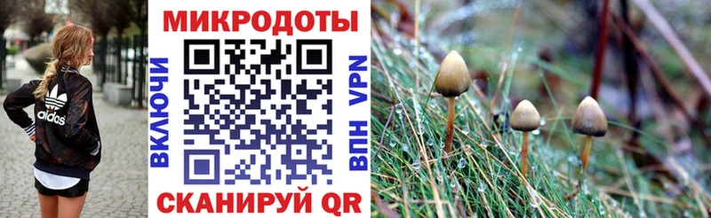 Галлюциногенные грибы MAGIC MUSHROOMS  кракен   Лиски 
